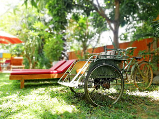 Traditional Indonesian transport , names " BECAK ", placed in the middle of the garden