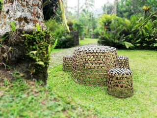 Bamboo basket chair on the grass in the garden with natural background.