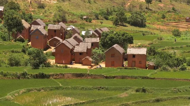 typical red village in the highlands of Madagascar between rice terraces 408