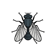 A house fly illustration vector style