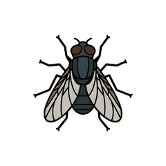 A house fly illustration vector style