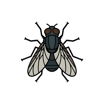 A house fly illustration vector style