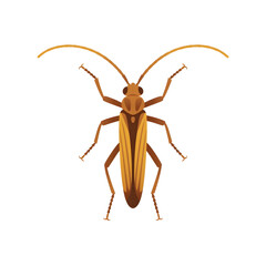 A firebrat illustration vector style