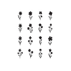 Black and white floral pattern with flowers leaves and decorative elements