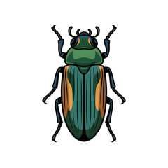 A jewel beetle illustration vector style