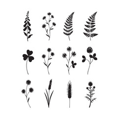 Floral Vector Set of Black and White Plant Silhouettes with Leaves and Butterflies
