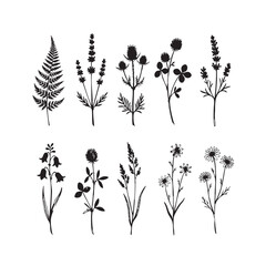 Floral silhouette vector set of flowers and plants with nature inspired decorative pattern