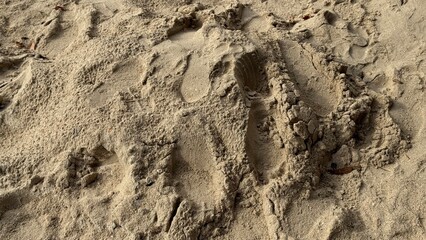 tire tracks in sand