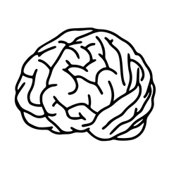 human brain outline vector icon