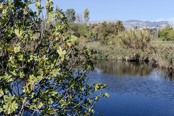 Small pond in an autumn &ldquo;Antonis Tritsis&rdquo; park (Athens, Greece)