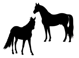 two black silhouettes of horses standing upright