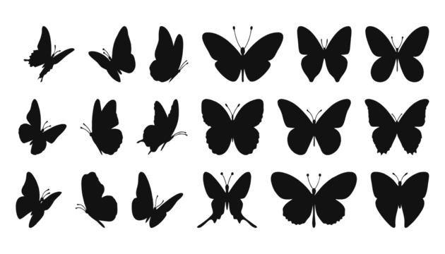 Silhouettes of butterflies in various flight positions, elegant black shapes on white background. Perfect for nature, design, or decorative art projects. High-quality vector butterfly illustration set