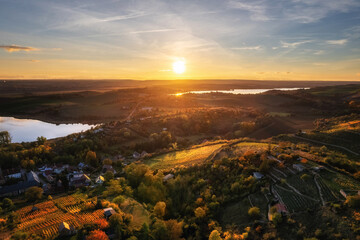 Abendsonne färbt die Weinberge im Seegebiet Mansfelder Land in goldenes Licht