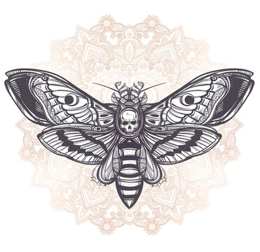 Deaths head hawk moth with mandala.