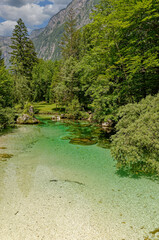 Sava Bohinjka River,Triglav National Park,Slovenia