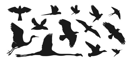 Silhouettes of flying birds isolated on a white background. Parrot, puffin, flamingo, crow, hummingbird, seagull, sparrow, heron, pigeon, eagle, duck, and swallow. Vector