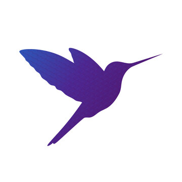Purple colibri bird silhouette decorated with wavy pattern. Hummingbird. Vector illustration
