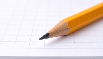 A freshly sharpened pencil sits on a blank page in a notebook