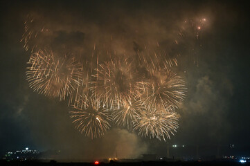 夜空を彩る花火