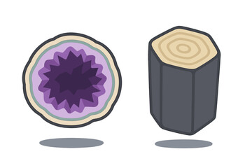 Amethyst geode cross section next to a tree trunk log slice showing growth rings and layers