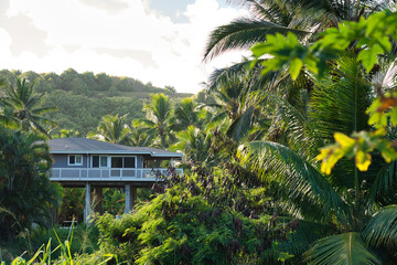 Stelzenh&auml;user am Strand,  Kauai, Hawaii