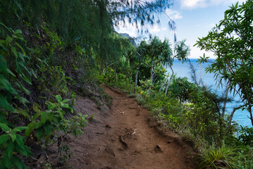 Fototapeta premium Wanderung Kalalau Trail, Kauai, Hawaii