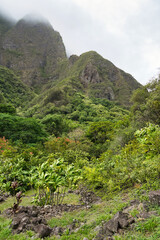 Panorama Iao Valley State Monument, Maui, Hawaii