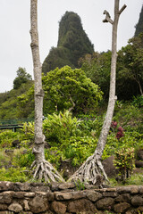 Nationalpark Iao Valley State Monument, Maui, Hawaii