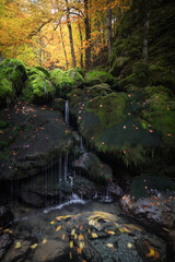 Herbst in den Alpen IV