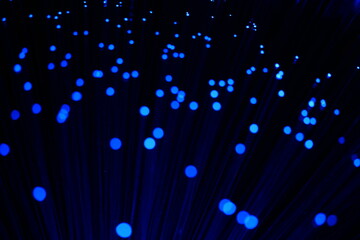 Abstract close-up of vertical, intensely blue fiber optic strands on a dark background, suggesting...