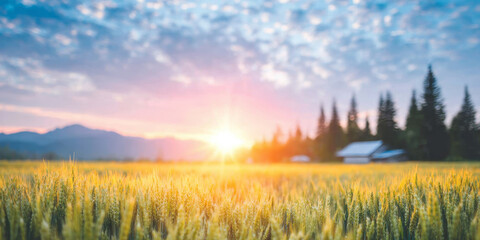 Golden wheat field illuminated by morning sun, creating a peaceful rural landscape with mountains and trees in the soft light