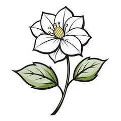 Fototapeta premium hellebore white line art on white background