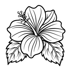 hibiscus-syriacus line art vector on white background