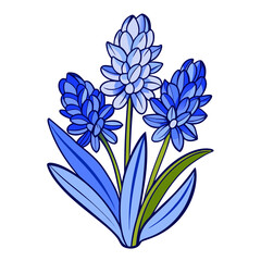 hyacinth-blue line art on white background