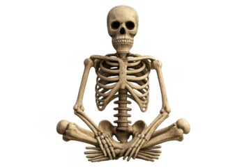 Skeleton meditating in lotus pose, symbolizing mindfulness, balance, death, and human anatomy, on transparent background