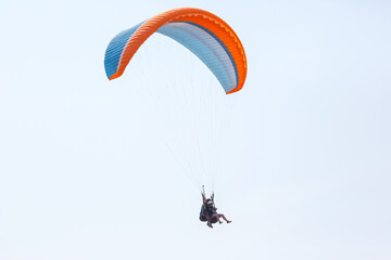 Paragliders soaring high above the coastline during an afternoon adventure