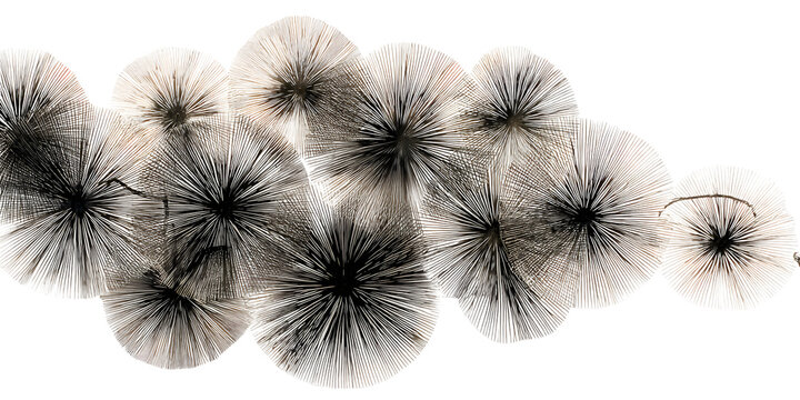 Abstract texture of dried plant material and fibers on black background