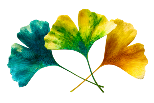 Three colorful ginkgo leaves with intricate patterns on a black background - Powered by Adobe