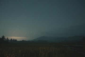 Unusual shower over tropical rice fields at night reveals a serene landscape illuminated by soft light and distant stars