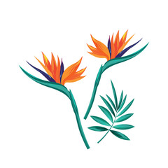 abstract flower design