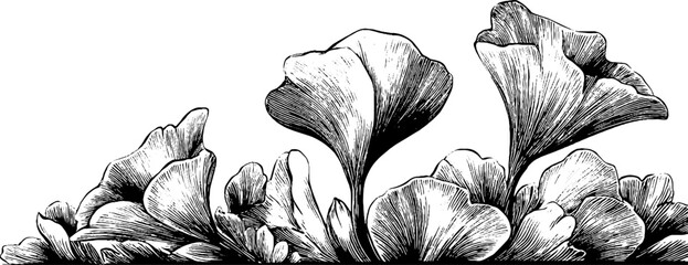 Fototapeta na wymiar Intricate black and white engraved floral background for retro design projects