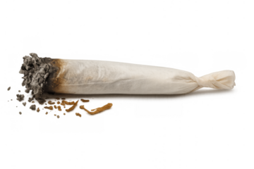 Partially smoked hand rolled item with ash and dry plant material, showing a brown and grey burnt tip