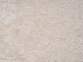 Whispering cream and beige, the veneer wood surface reveals nature's artistry