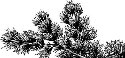 Naklejka premium Vintage pine branches corner ornament design for decoration and art projects