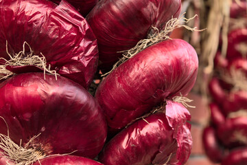 Bunch of fresh red onions with papery skin and roots
