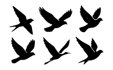 Obraz premium Bird silhouettes collection: elegant flight poses of six birds on white background