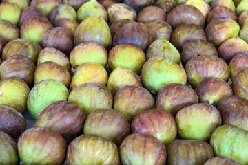 Ripe green fig fruits stacked in rows on a market