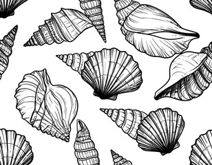 Monochrome illustration of assorted seashells scattered across a white background, resembling a seamless pattern. Details are drawn with visible lines