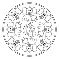 vector illustration of elephants and pumpkin