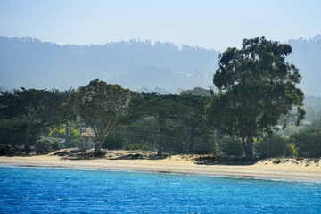 Monterey California coastline with clear blue water, sandy beach and coastal trees, soft morning light, scenic natural landscape, tranquil atmosphere, minimalistic composition, organic colors, travel 